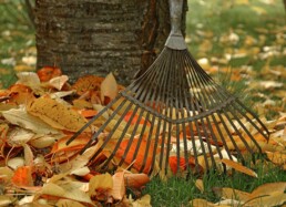 Image of a rake being used for leaf removal during fall cleanup.